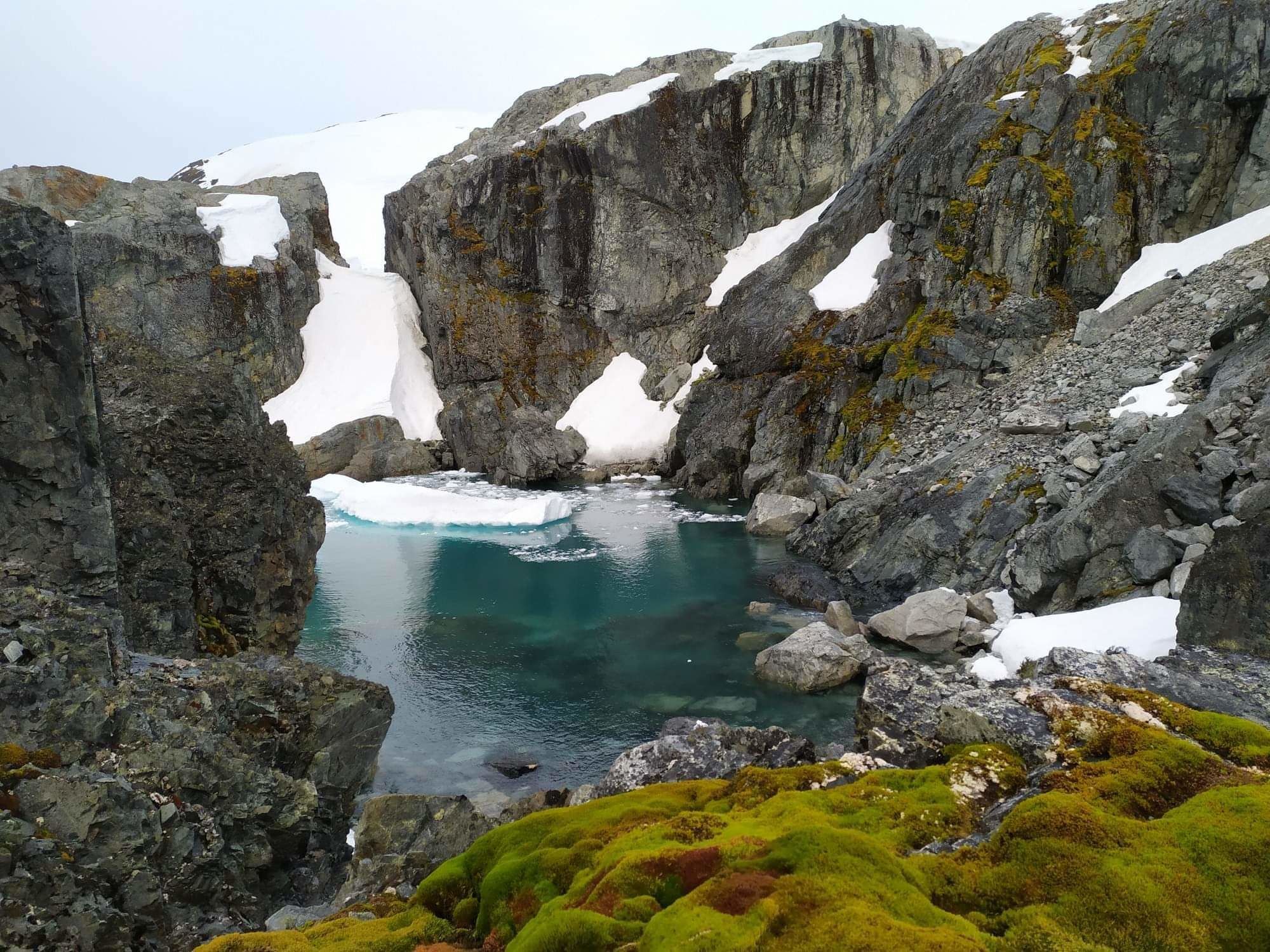 Фото: Андрій Зотов та Анна Соіна/facebook.com/AntarcticCenter / © 