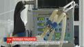 Правила госпитализации: по какому алгоритму должны действовать медики при распределении пациентов