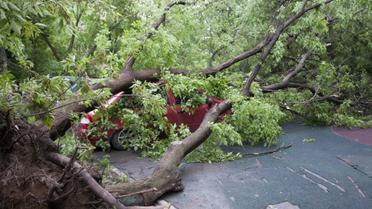 Ураган в Москві_5 / © Reuters