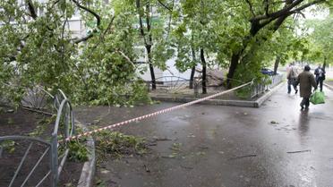 Ураган в Москві_4 / © Reuters