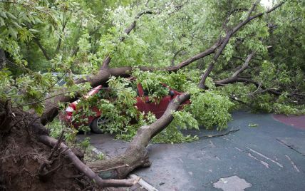 Внаслідок урагану у Підмосков'ї загинув громадянин України