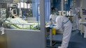 В Китае два дня подряд фиксируют случаи местной передачи коронавируса