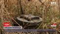 Новини з фронту: на Донбасі бойовики дистанційно замінували селище