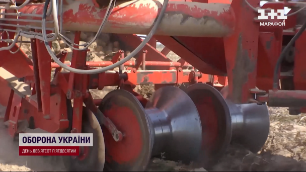Збирання картоплі на полі