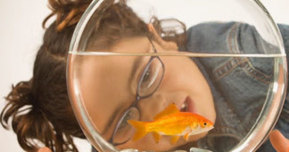 Цього дня натураліст-самоук презентував у лондонському Ріджерс-парку перший акваріум.