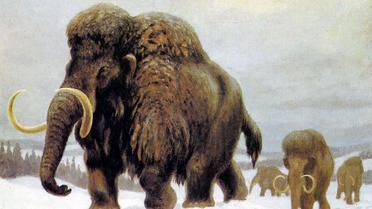 В Сумах водилися мамонти