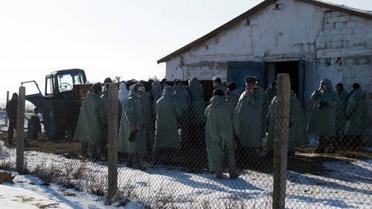 США допомагають боротися з грипом