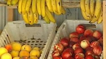 Їжа понад усе