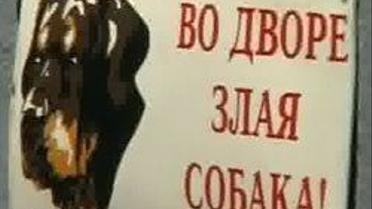 Собака-вбивця