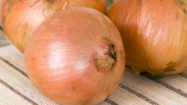 Про користь цибулі