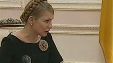 Політичні сантехніки