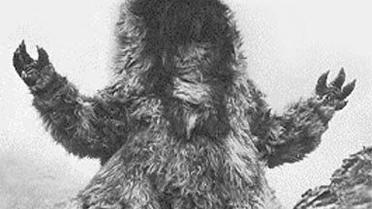08_yeti