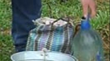 Як люди виживають без води