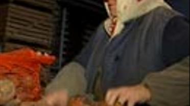 Засіки Вітчизни