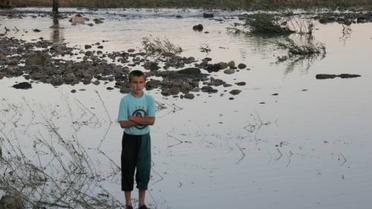 Захід України потерпає від води