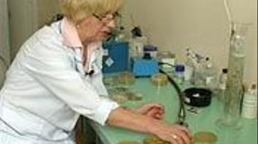 Чим пахнуть гроші?