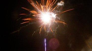 МНСники намагаються вберегти від феєрверків