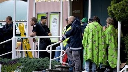 В парку атракціонів в Швеції знову трапився інцидент