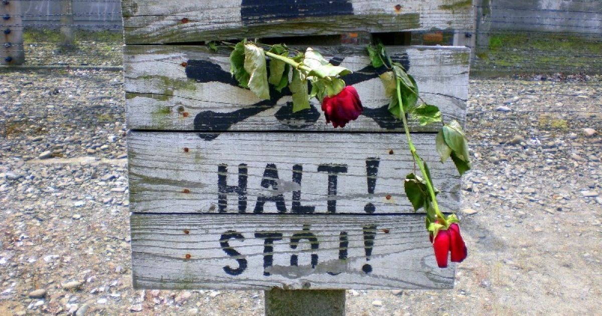 Фільм "Освенцим" шокував Німеччину реалістичною жорстокістю