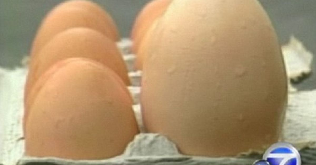 Курка знесла яйце в чотири рази більше за нормальне