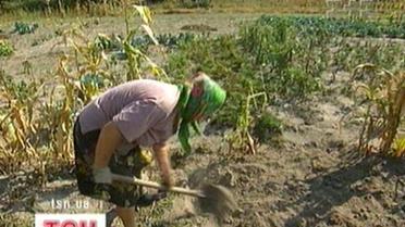 Усі на збирання врожаю - порада лікарів