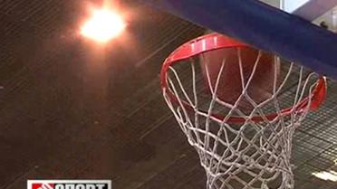 Українська баскетбольна зоологія