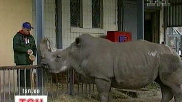 У Київському зоопарку морять тварин