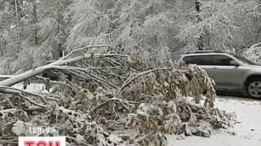 Норови погоди