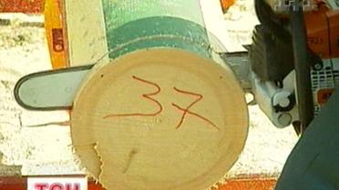 Всеукраїнський чемпіонат лісорубів