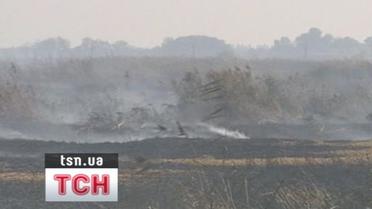 Горять мулові поля Бортницької станції