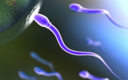 Сайт знайомств відкрив банк сперми для красенів