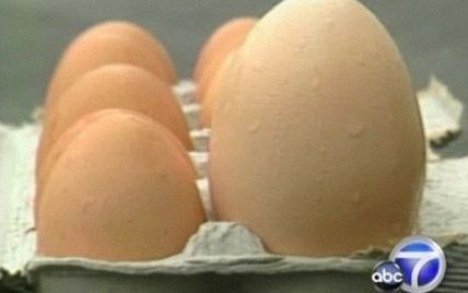 Курка п'ять днів "народжувала" величезне яйце