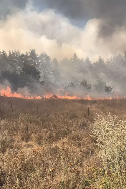 Из-за жары и засухи Украину охватила очередная волна масштабных пожаров: горят леса и дома