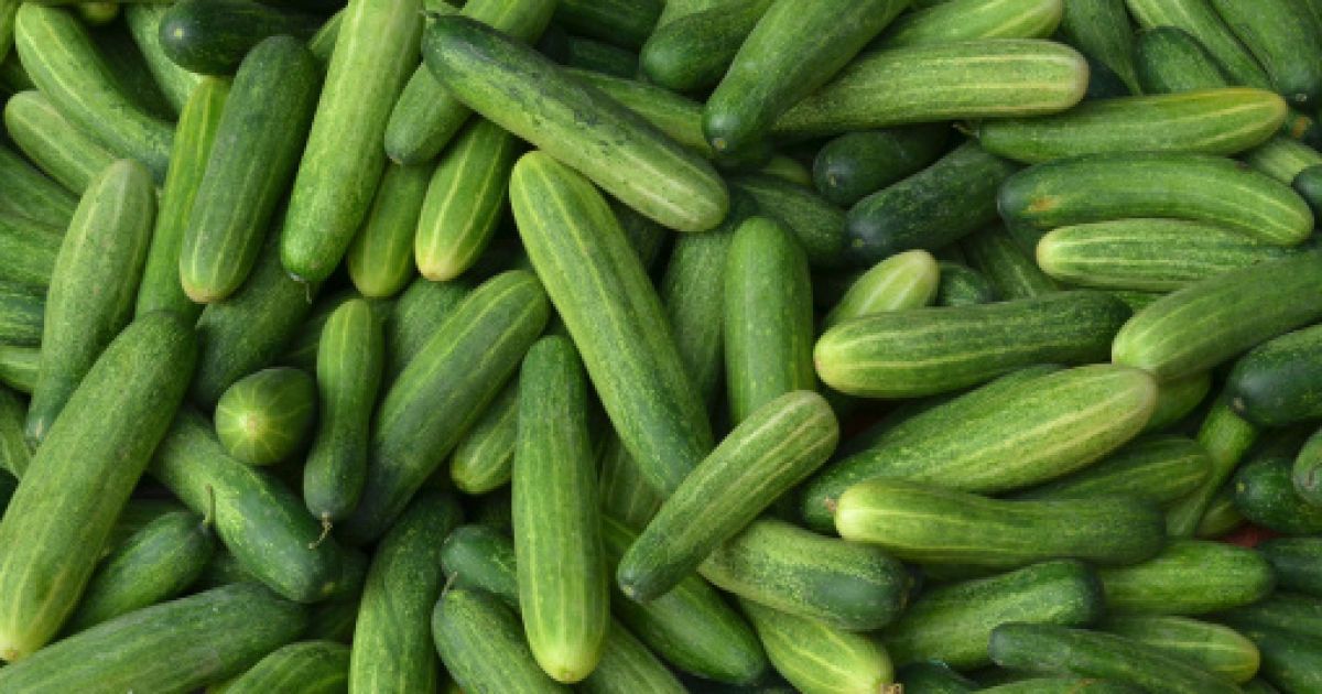 Рецепт быстрого приготовления малосольных огурцов от Руслана Сеничкина