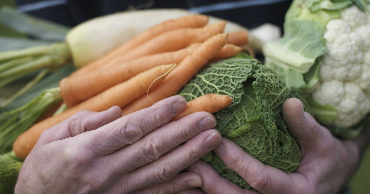 10 способов сэкономить на еде с пользой для здоровья