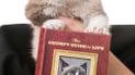 Сердитый Кот написал новую книгу