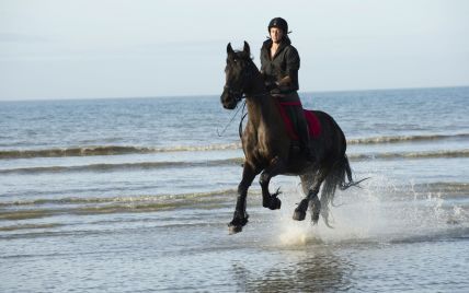 Иппотерапия: к здоровью – верхом на лошади