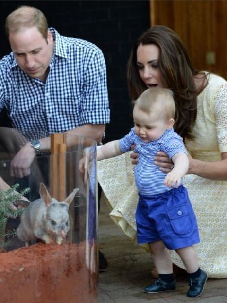 Герцогиня Кембриджская, принц Уильям и их сын Георг в зоопарке / © Getty Images/Fotobank