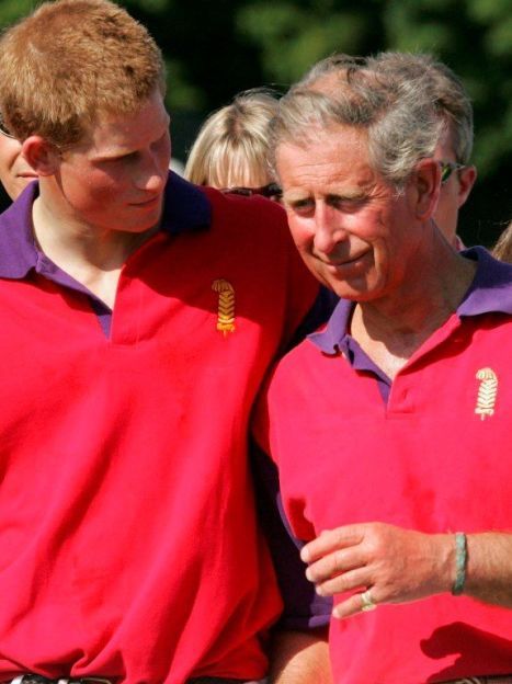 Принц Гарри с отцом принцем Чарльзом, 2005 год / © Getty Images/Fotobank