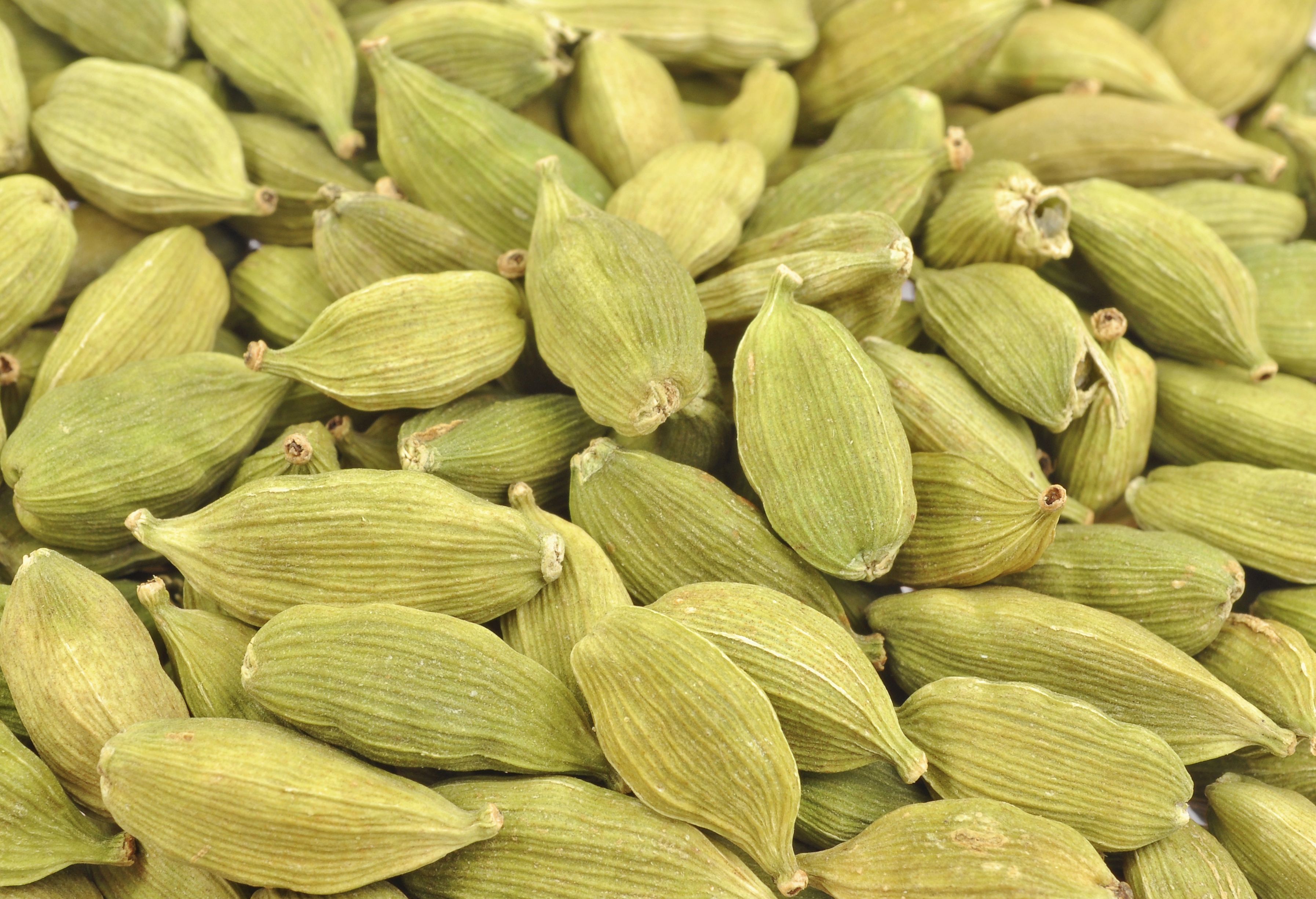 Лесбияндық азғырудың порносын қараңыз