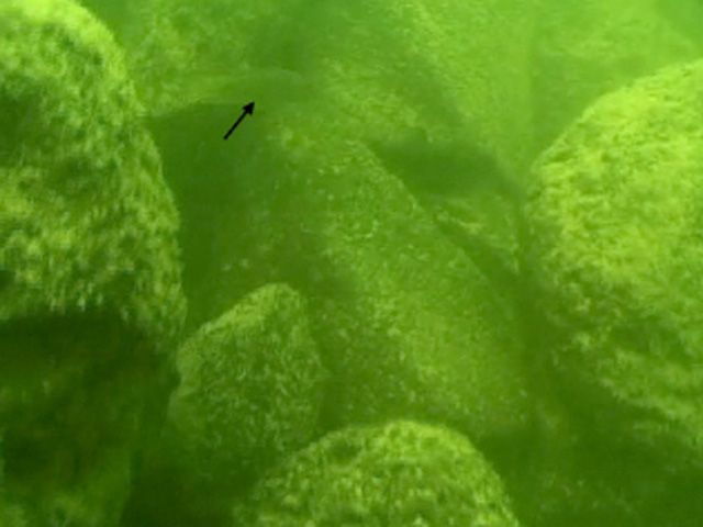 На дні озера, відомого також як Галілейське море, була знайдена гігантська кам'яна конструкція, яка могла бути створена людьми близько чотирьох тисяч років тому