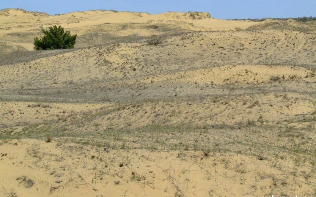 Олешковские пески являются одной из наибольших пустынь в Европе / © robinzon.ks.ua