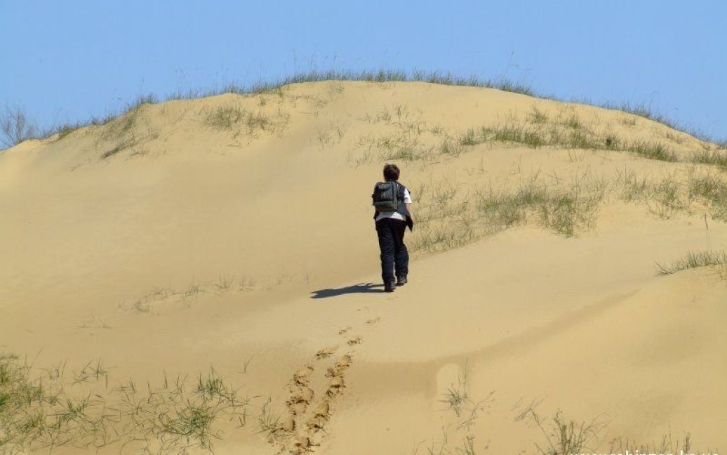 Олешковские пески являются одной из наибольших пустынь в Европе / © robinzon.ks.ua