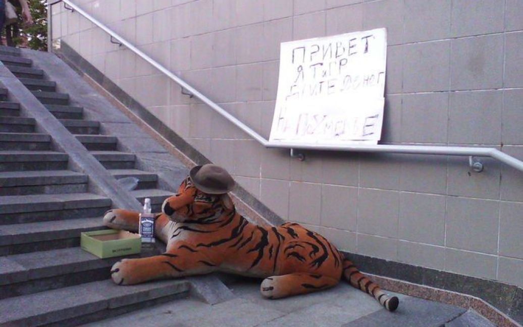 Тигр просить грошей "на квиток додому" / © itar-tass.com
