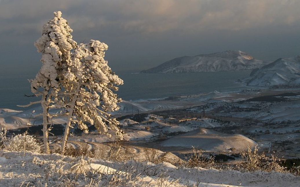 Ботанічний заказник &ldquo;Гірський масив Тепе-Оба&rdquo;. Західна частина масиву взимку / © wle.org.ua