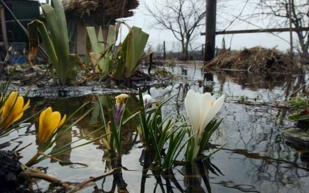 У селі Підгірці вода залила вулиці і будинки / © Сегодня