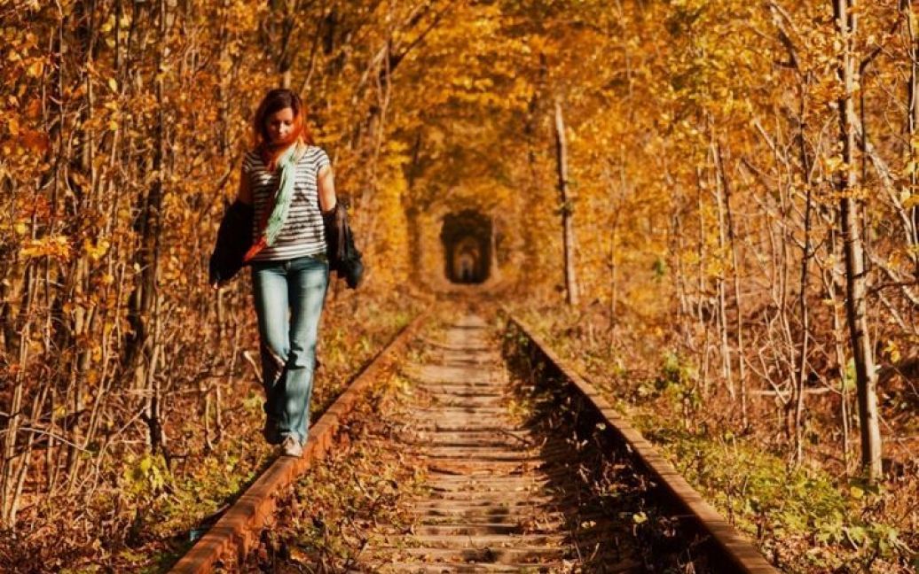 Такий "Тунель кохання" яскравої осені / © myspace.zp.ua