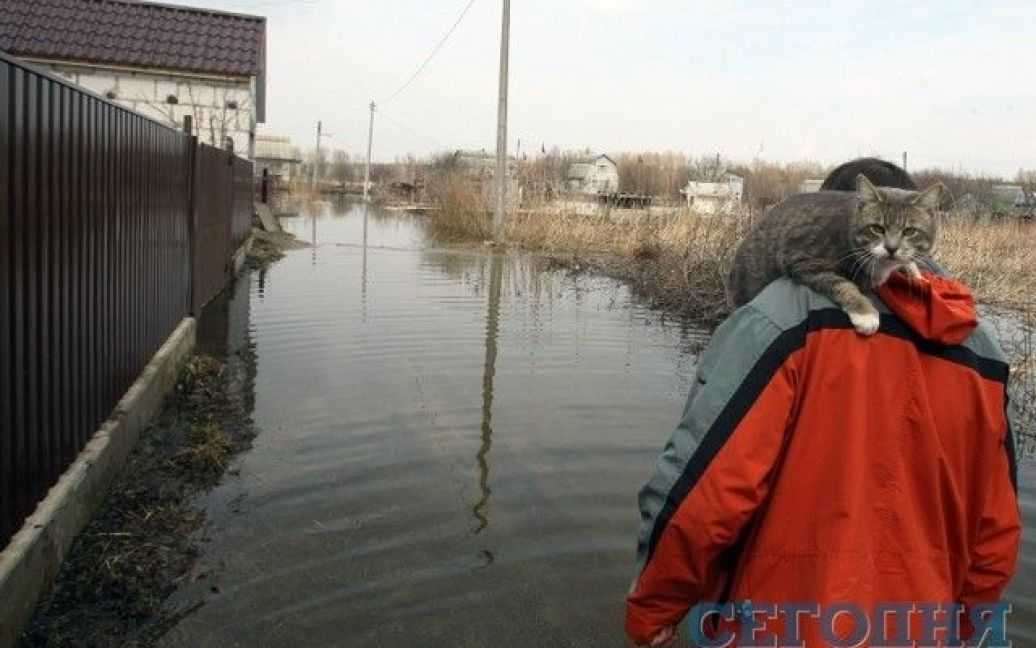 У селі Підгірці вода залила вулиці і будинки / © Сегодня