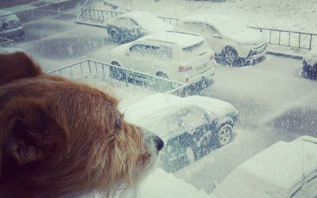 У Надимі випав сніг / © Instagram