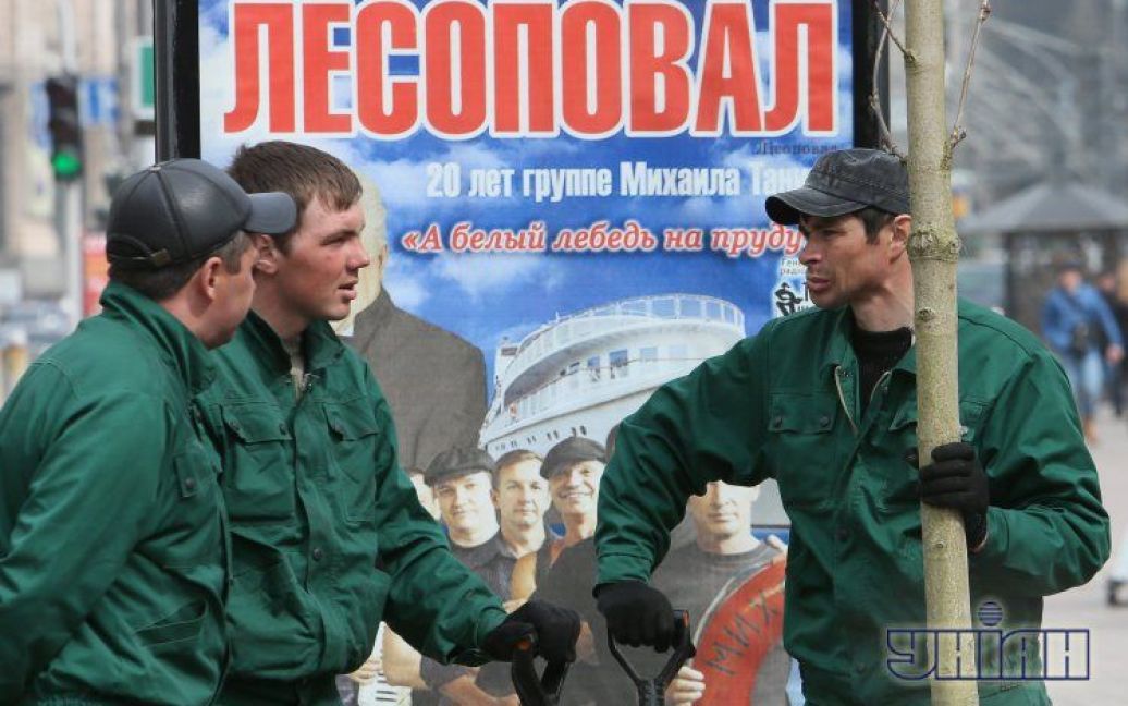 Попов з Герегою садили каштани в лакованому взутті / © УНІАН